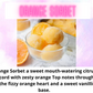 Toilet / Mop Bucket / Drain Cleaning Fizz ~ Sweet & Fruity Scents