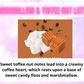 Toilet / Mop Bucket / Drain Cleaning Fizz ~ Sweet & Fruity Scents