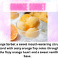 Toilet / Mop Bucket / Drain Cleaning Fizz ~ Sweet & Fruity Scents