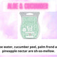 Toilet / Mop Bucket / Drain Cleaning Fizz ~ Laundry & Fresh Scents