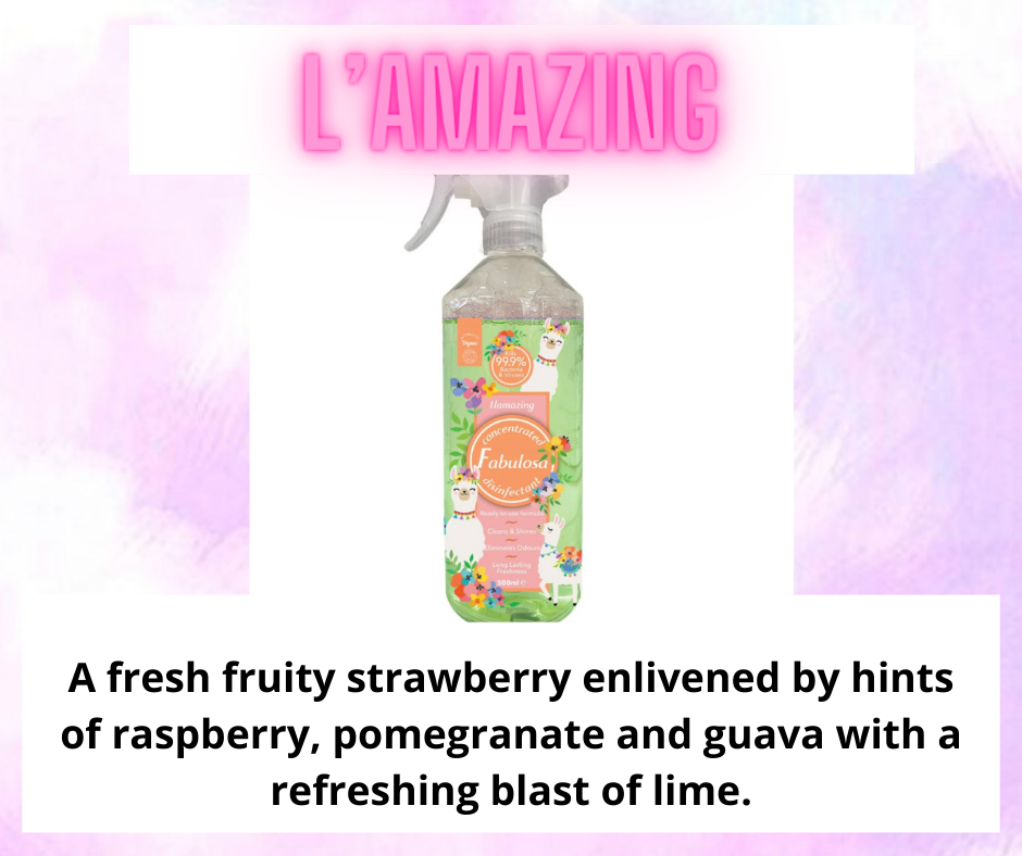 Non-Bio Laundry Detergent ~ Clean & Fresh Scents