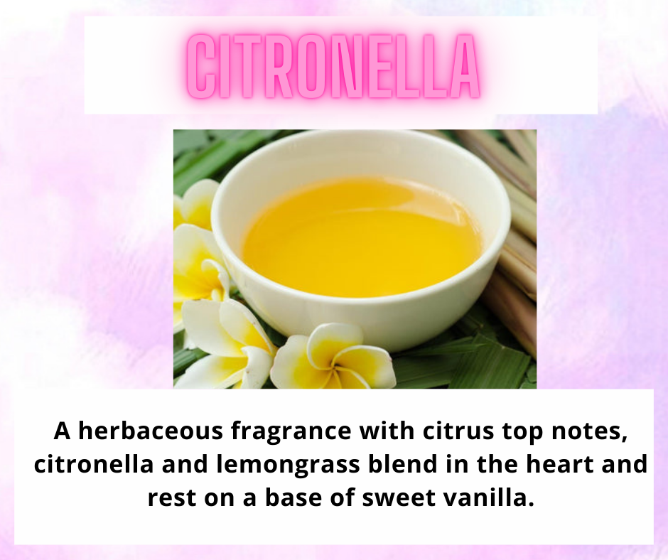 Bugs Away ~ Citronella Range