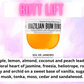 Toilet / Mop Bucket / Drain Cleaning Fizz ~ Sweet & Fruity Scents