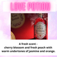 Toilet / Mop Bucket / Drain Cleaning Fizz ~ Sweet & Fruity Scents