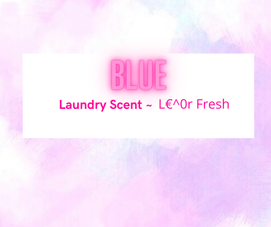 Vacuum Disc - Laundry & Fresh Scents