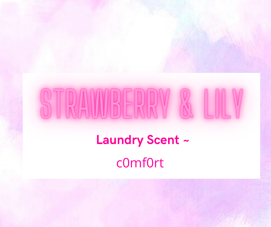 Vacuum Disc - Laundry & Fresh Scents