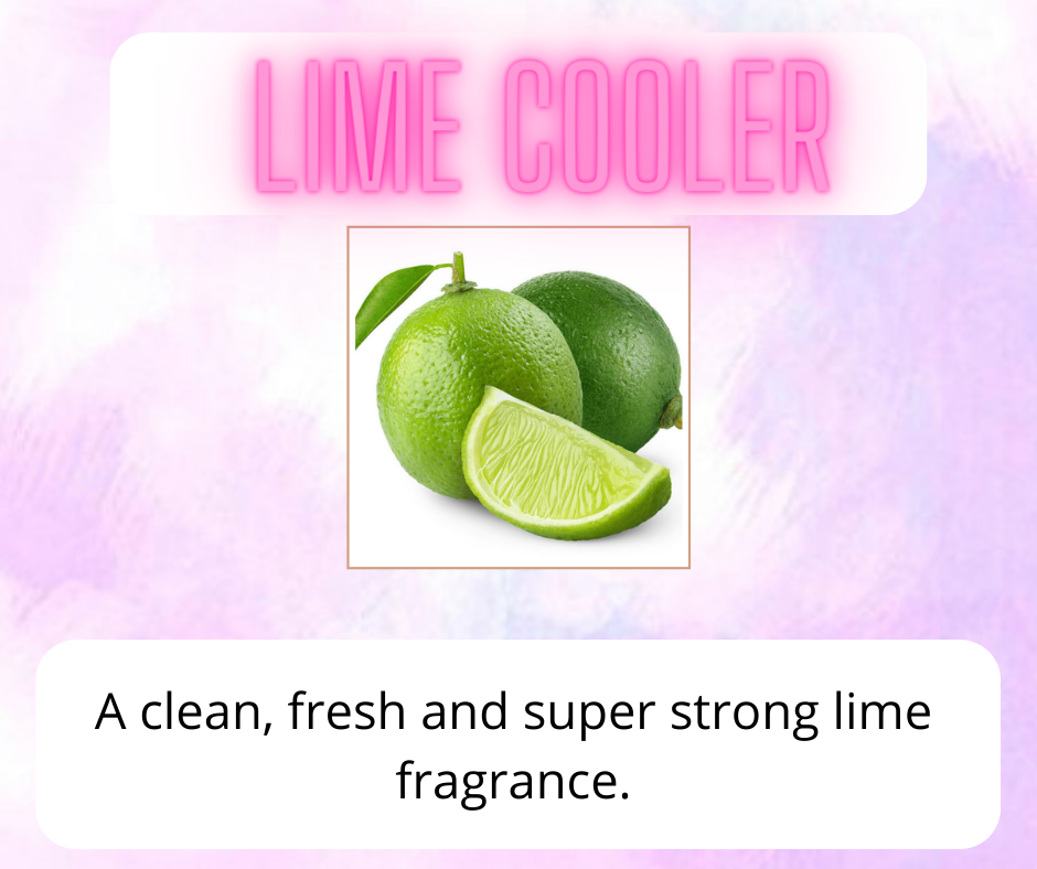 Car Vent Clip Freshener - Sweet & Fruity Scents