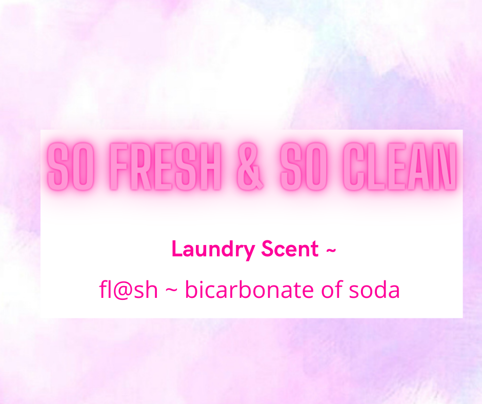 Vacuum Disc - Laundry & Fresh Scents